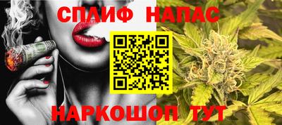 гашик Рязань