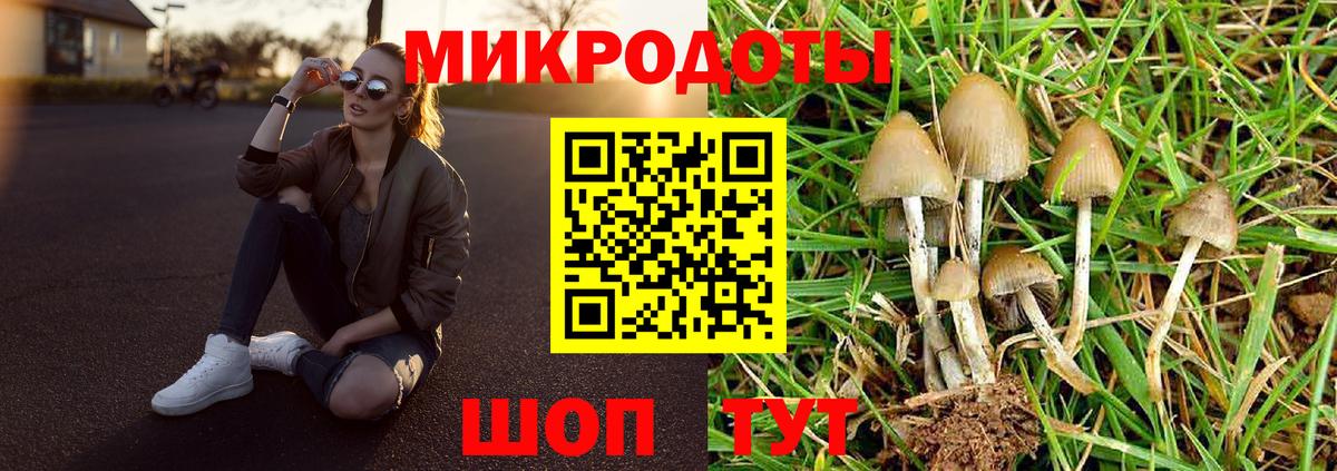 Рязань  Псилоцибиновые грибы Magic Shrooms  Вход с VPN 